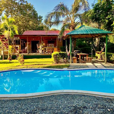Uvita Oasis Retreat With Villa Cabins And Apartment ภายนอก รูปภาพ