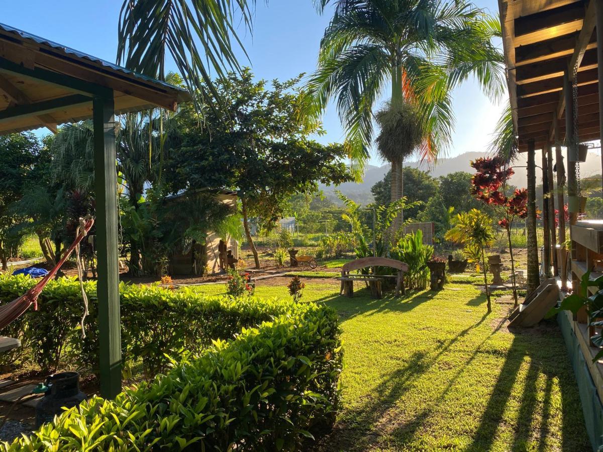 Uvita Oasis Retreat With Villa Cabins And Apartment ภายนอก รูปภาพ