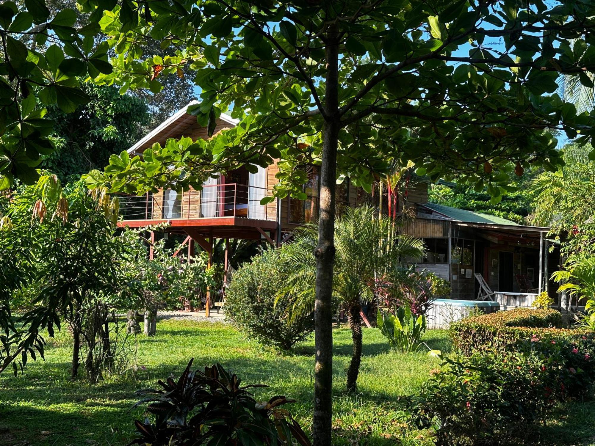 Uvita Oasis Retreat With Villa Cabins And Apartment ภายนอก รูปภาพ