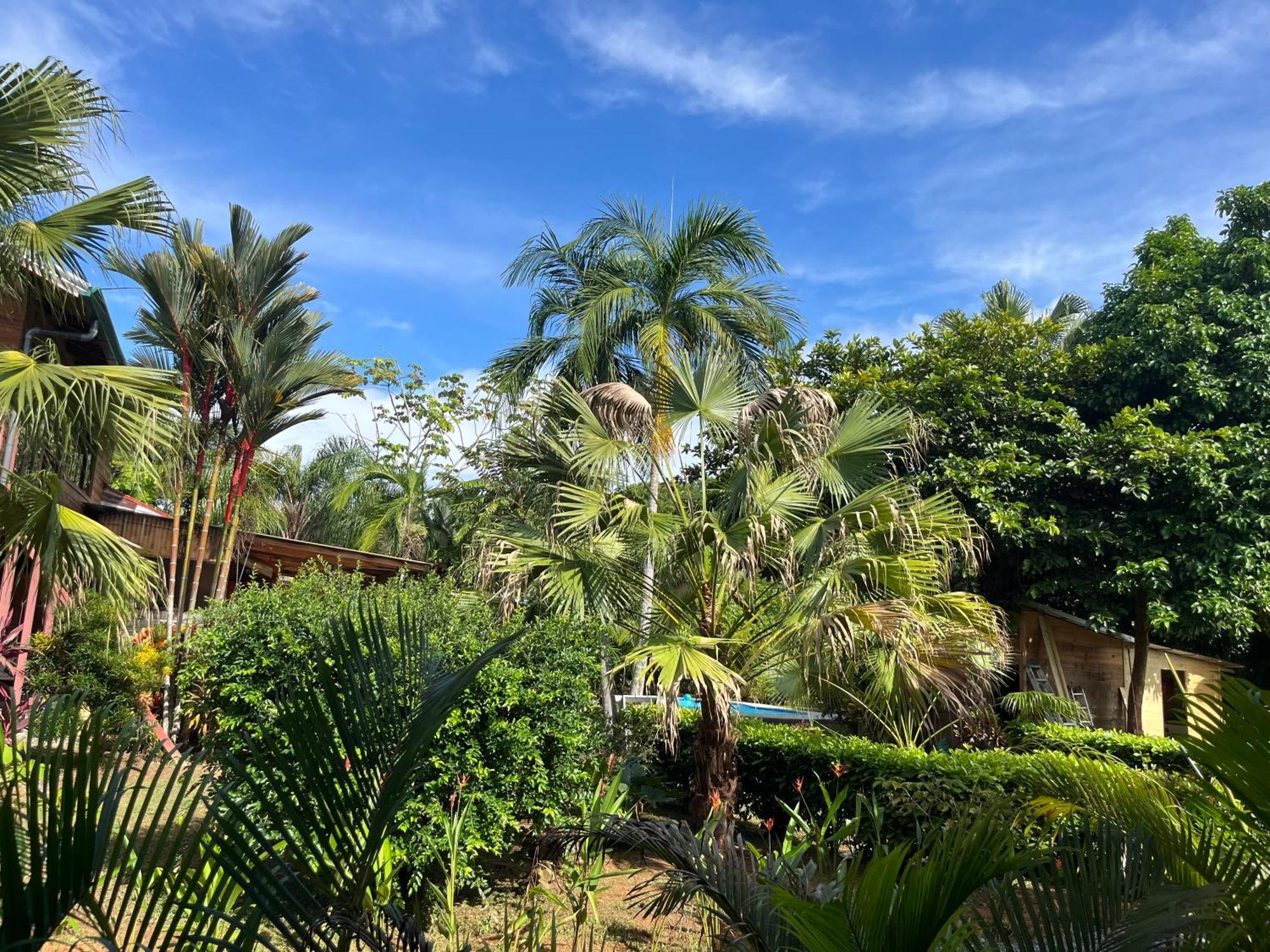 Uvita Oasis Retreat With Villa Cabins And Apartment ภายนอก รูปภาพ