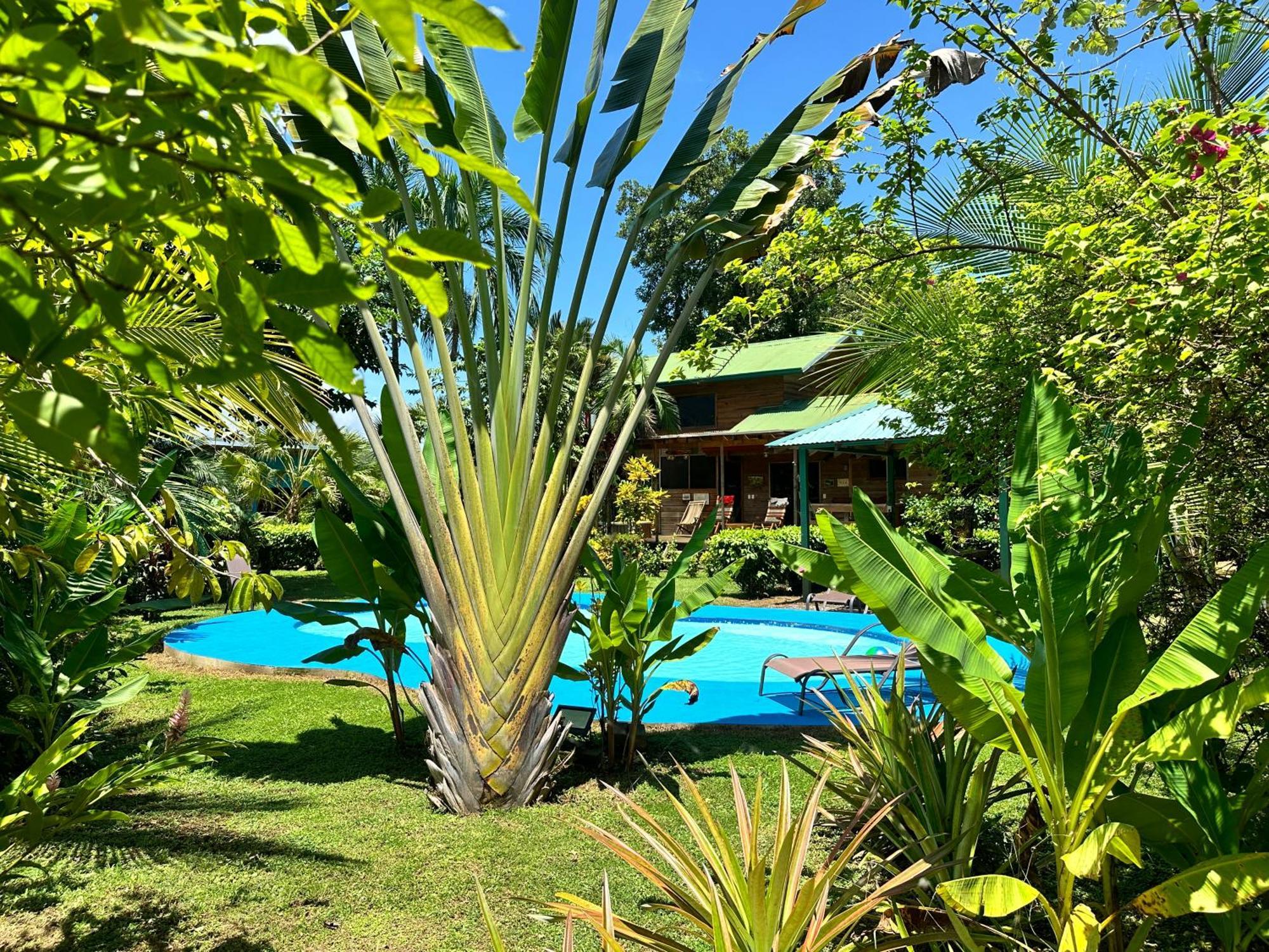 Uvita Oasis Retreat With Villa Cabins And Apartment ภายนอก รูปภาพ
