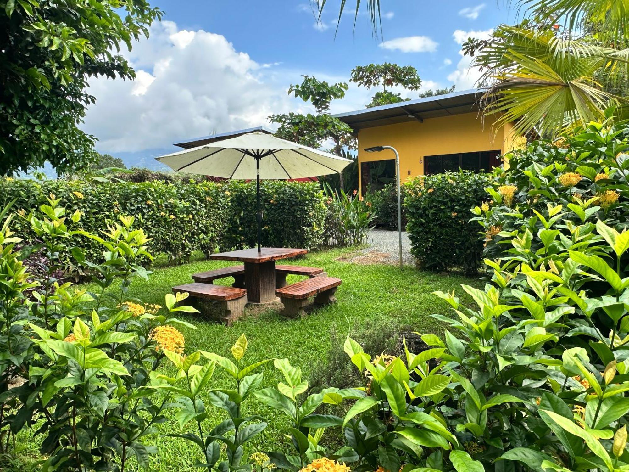 Uvita Oasis Retreat With Villa Cabins And Apartment ภายนอก รูปภาพ