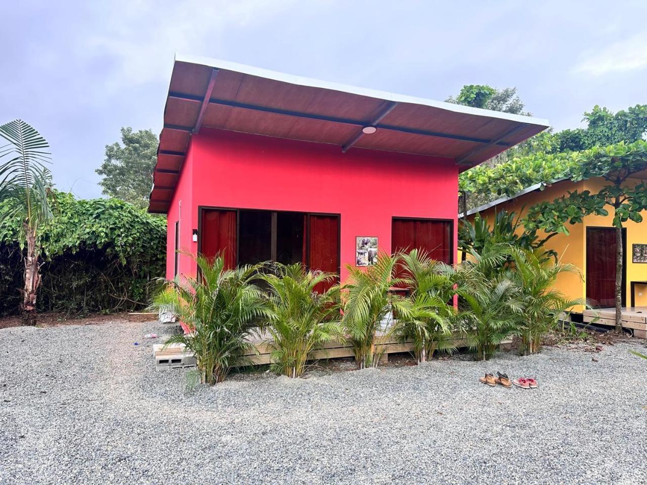 Uvita Oasis Retreat With Villa Cabins And Apartment ภายนอก รูปภาพ